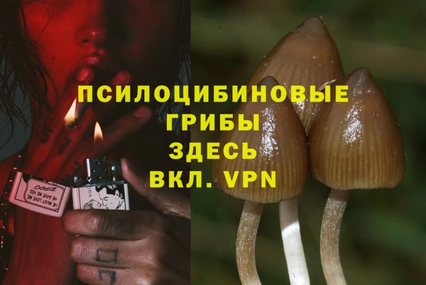 бошки Аркадак
