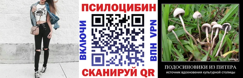 Псилоцибиновые грибы GOLDEN TEACHER  что такое наркотик  hydra ссылки  Полысаево 